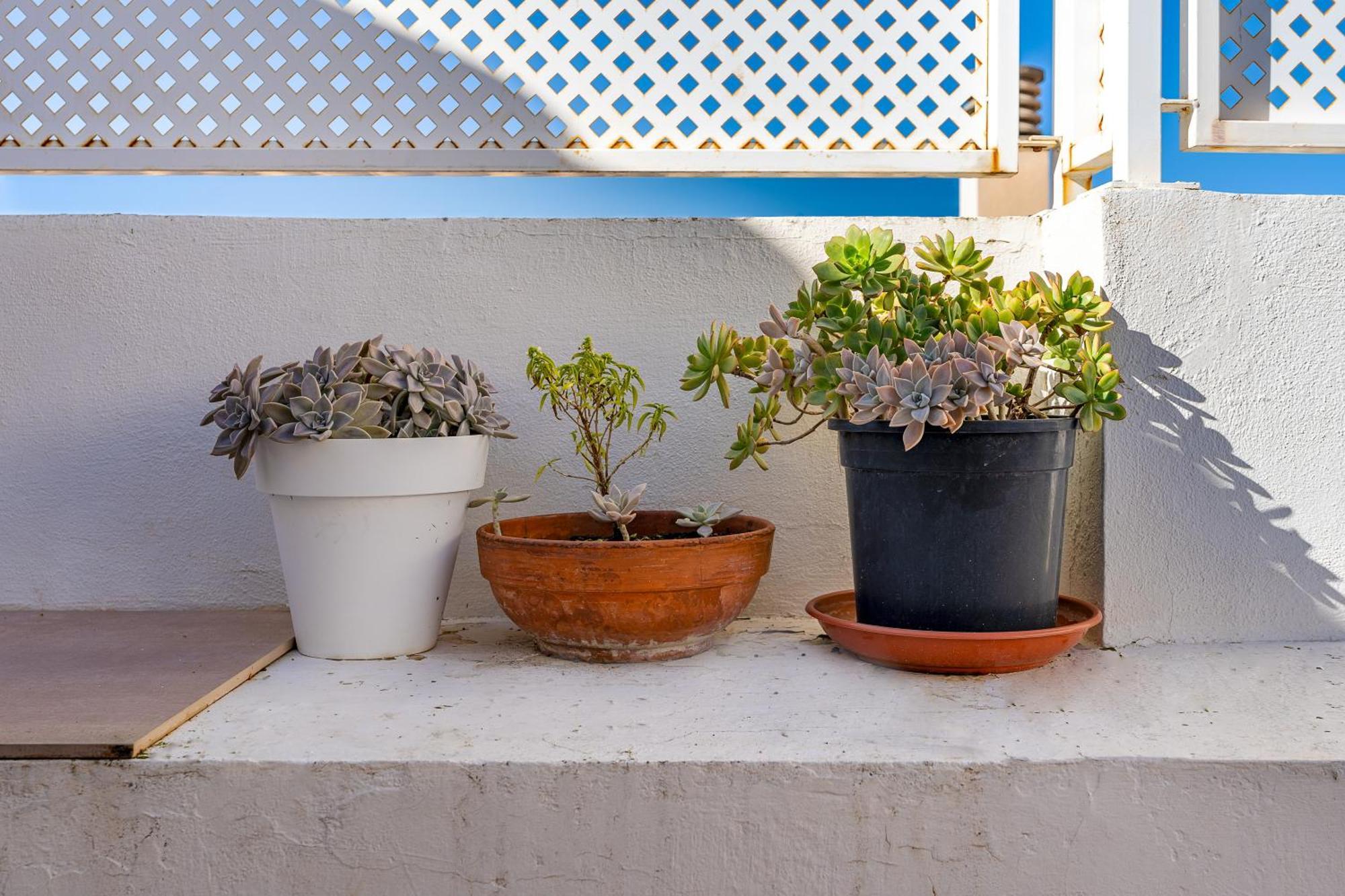 Casa Mirador Alqueria Villa Granada Eksteriør billede
